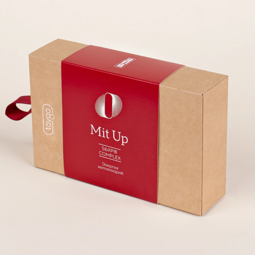 Т8 ERA MIT UP 21 саше по 10 г
