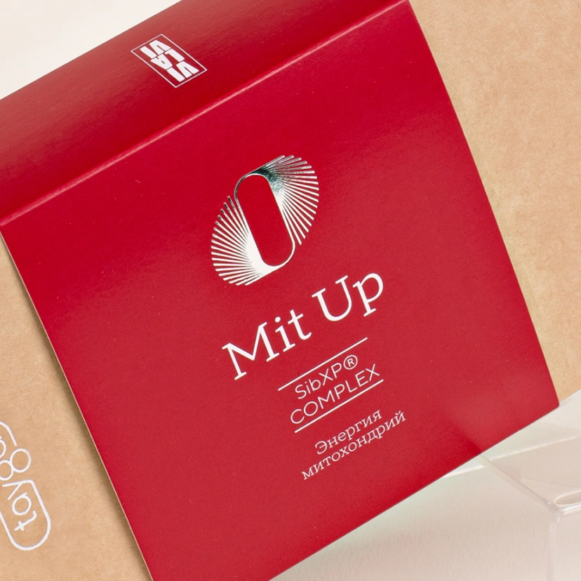 Т8 ERA MIT UP 21 саше по 10 г